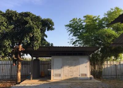 Outdoor storage shed with surrounding trees