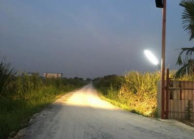 Dirt road leading to property with adjacent greenery and a street light