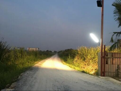 Dirt road leading to property with adjacent greenery and a street light