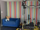 Home gym with colorful wall and exercise equipment