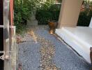 Outdoor path with greenery and potted plants