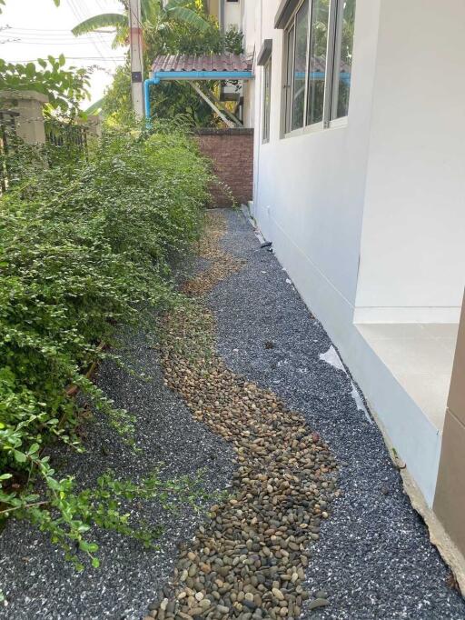 Outdoor pathway with pebbles and greenery