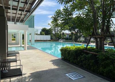 Outdoor pool area with greenery and seating