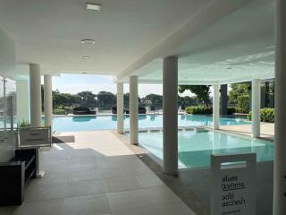 Outdoor swimming pool area with seating and greenery