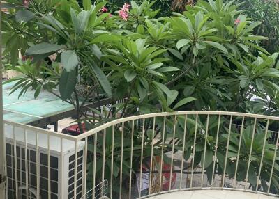 Balcony with plants and greenery