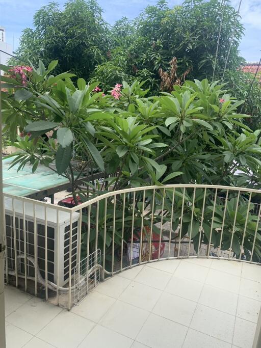 Balcony with plants and greenery