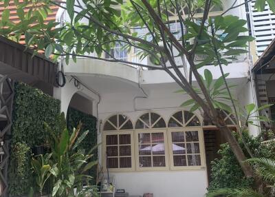 Courtyard with plants and a tall building