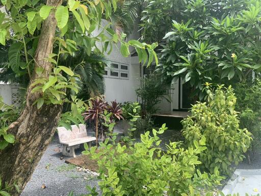 Lush garden area with green foliage and a bench