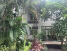 Exterior view of a house with lush greenery