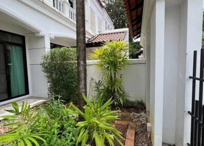 3-Bedroom Townhouse Townhouse for rent in Phuket Town