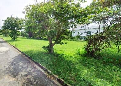 Beautiful land plot 1 rai in Huay Yai for sale