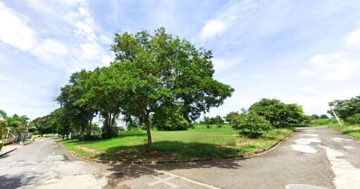 Beautiful land plot 1 rai in Huay Yai for sale