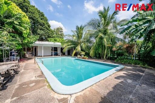 Outdoor area with swimming pool and surrounding greenery