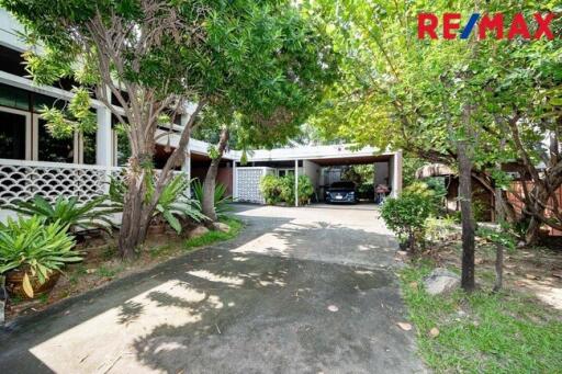 Driveway and garage with lush greenery