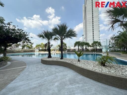 Outdoor swimming pool area with surrounding palm trees and high-rise building