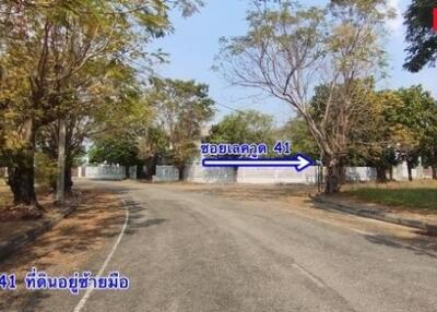 entrance to property showing road and surrounding greenery