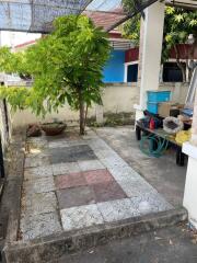 Outdoor patio with tiled walkway and tree