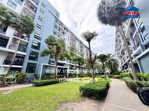 Apartment complex with green courtyard