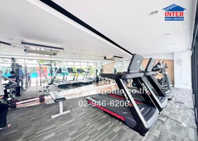 Modern gym with treadmills and weight lifting equipment