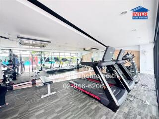 Modern gym with treadmills and weight lifting equipment