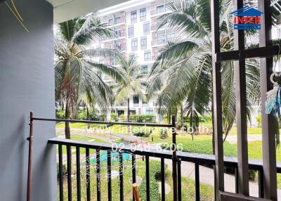 view from balcony overlooking garden with palm trees and apartment building