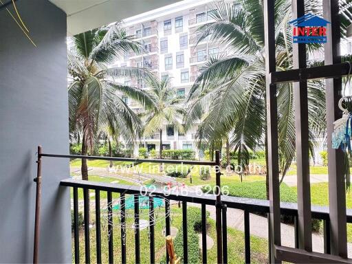 view from balcony overlooking garden with palm trees and apartment building