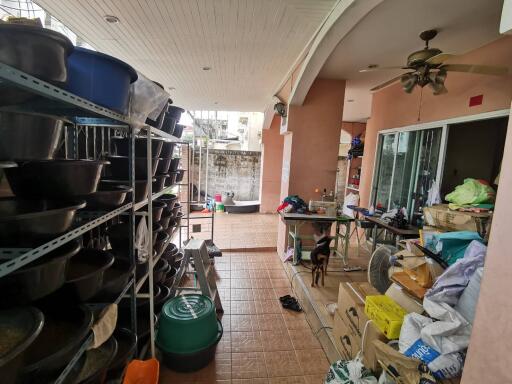 Utility room with storage shelves and miscellaneous items