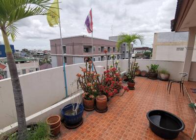 Spacious balcony with potted plants and city view