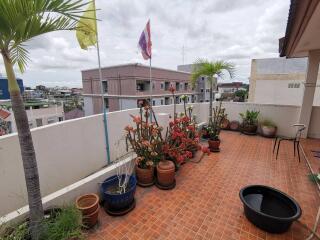 Spacious balcony with potted plants and city view