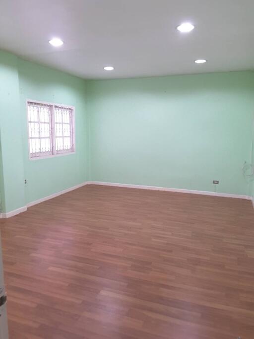 Empty living room with wooden floors and green painted walls
