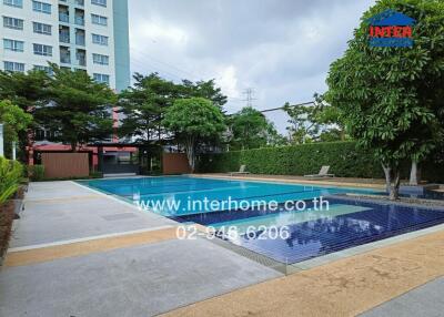 Modern outdoor swimming pool with surrounding greenery and adjacent building