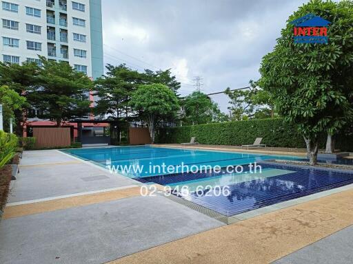 Modern outdoor swimming pool with surrounding greenery and adjacent building