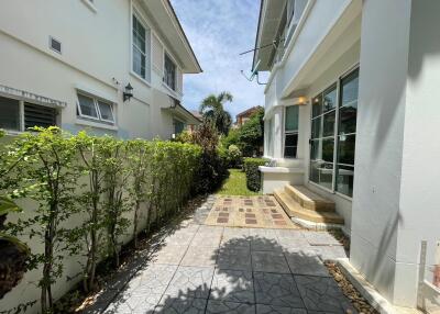 Outdoor pathway between houses with greenery