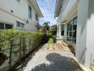 Outdoor pathway between houses with greenery