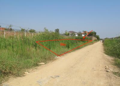 Vacant piece of land with dirt road in front.