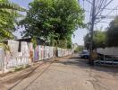 Street view with trees and utility poles