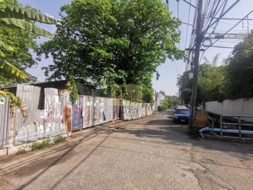 Street view with trees and utility poles