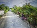 Quiet residential street with greenery