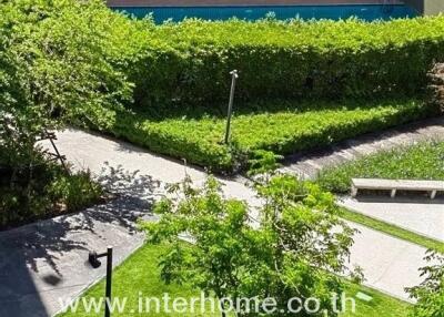 View from building overlooking lush courtyard and pool area