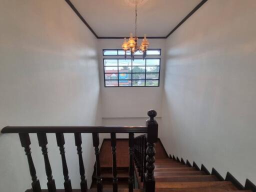 Wooden stairway with window