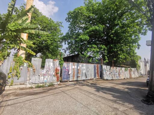 Street view with metal fence and trees