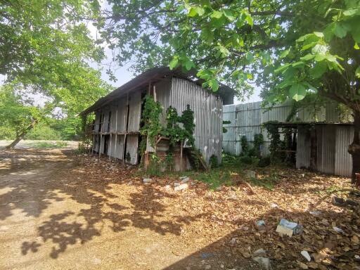 Exterior view of an old, rundown building surrounded by trees