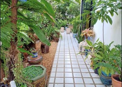 A beautifully landscaped garden walkway featuring a variety of potted plants and lush greenery.
