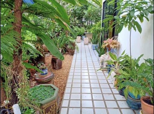 A beautifully landscaped garden walkway featuring a variety of potted plants and lush greenery.