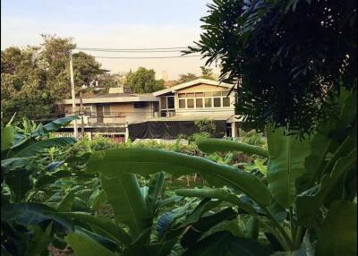 View of house with lush green vegetation