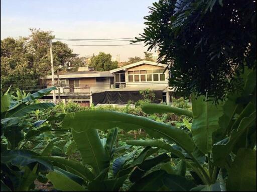 View of house with lush green vegetation