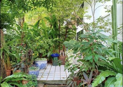 Lush garden area with various potted plants and greenery