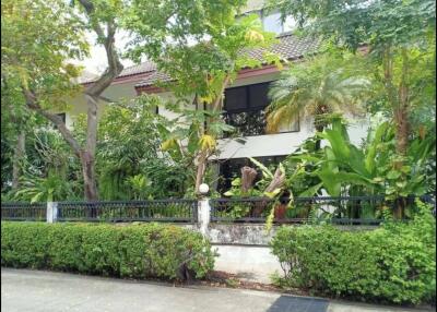 Exterior view of a house surrounded by lush greenery