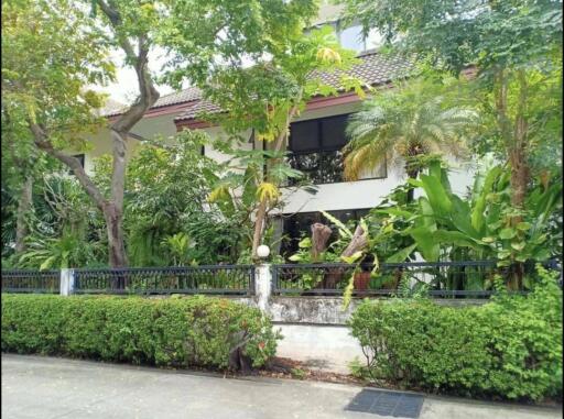 Exterior view of a house surrounded by lush greenery