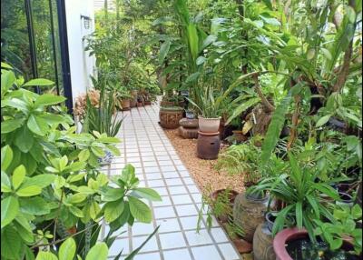 Lush garden pathway with various plants and potted greenery